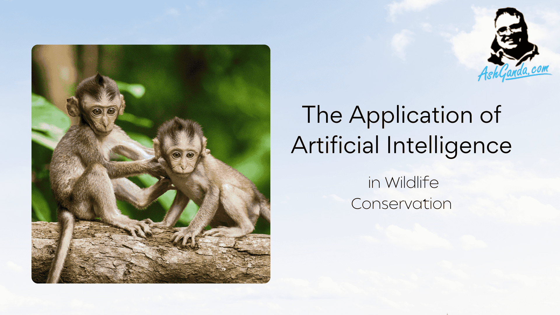 The Application of Artificial Intelligence in Wildlife Conservation