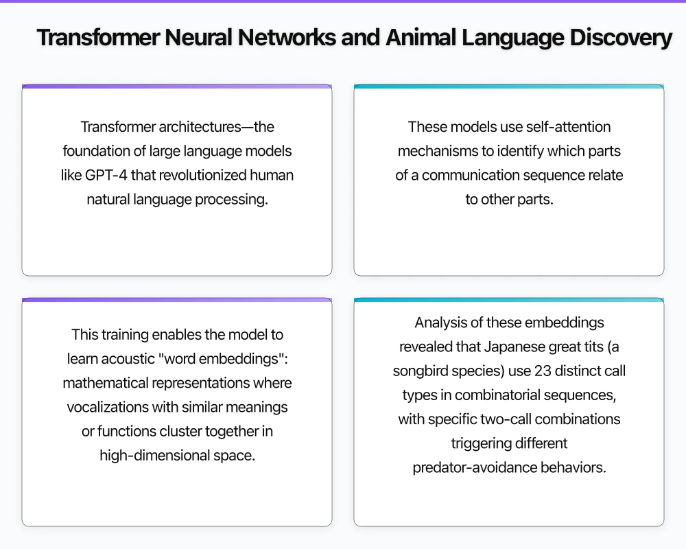 Transformer Neural Networks and Animal Language Discovery Infographic