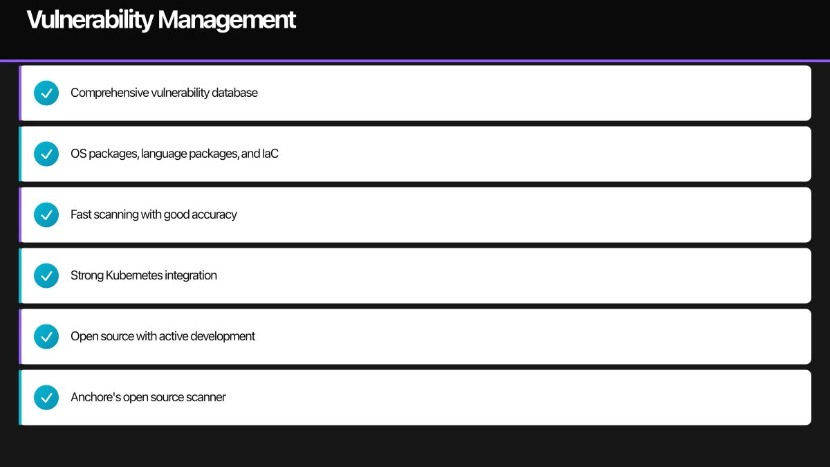 Vulnerability Management Infographic