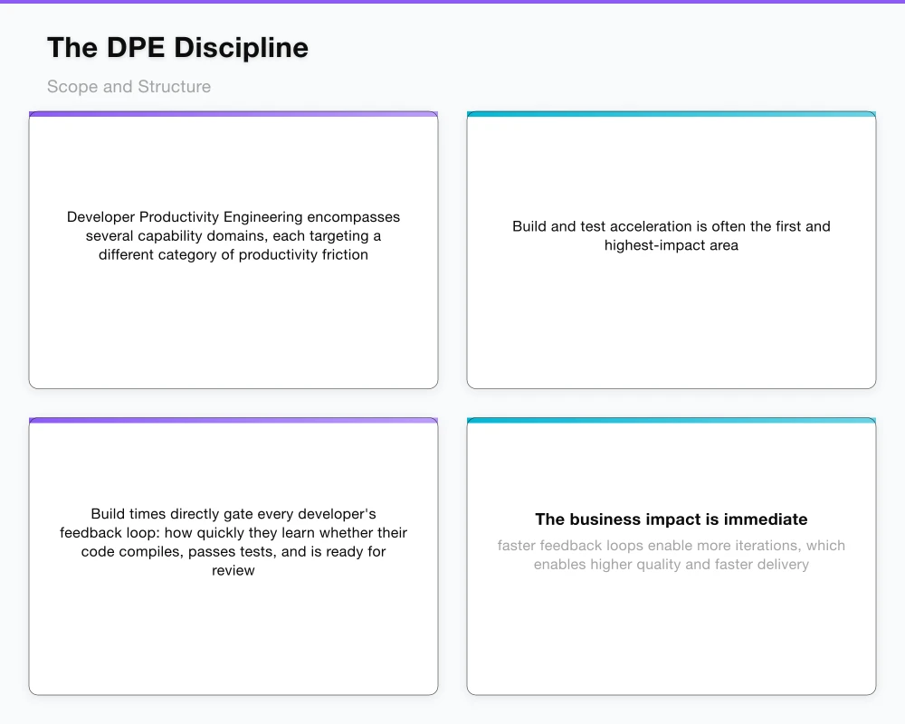 The DPE Discipline: Scope and Structure Infographic